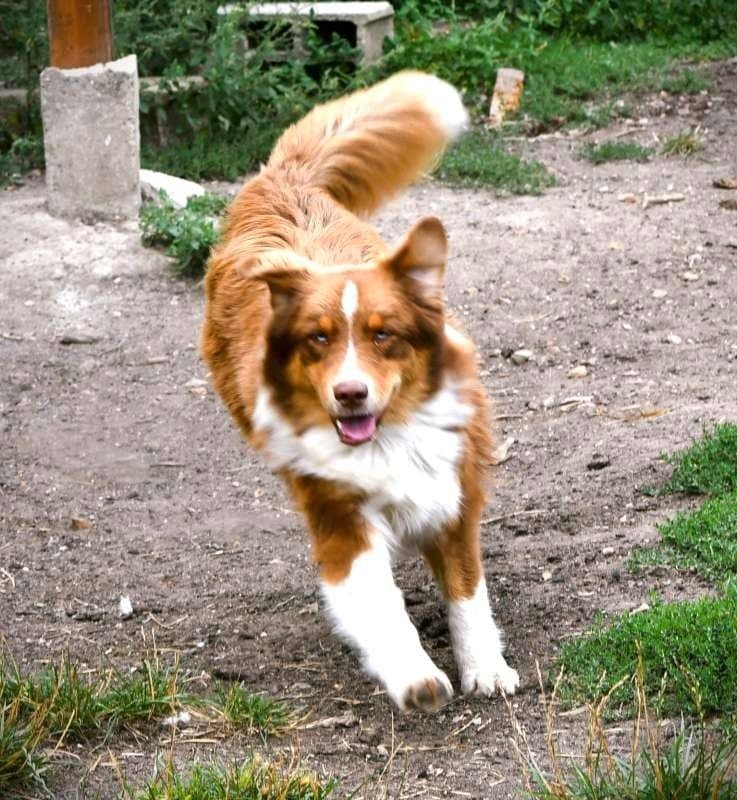 rocky003